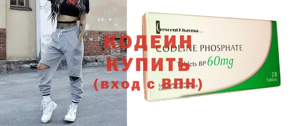индика Козельск