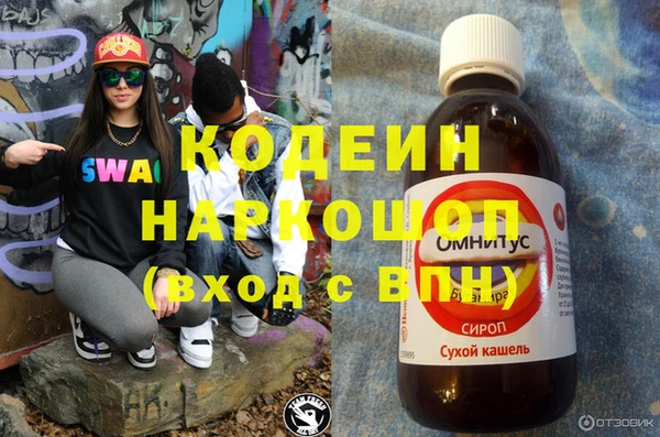 сатива Новодвинск