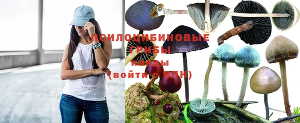 spice Алзамай