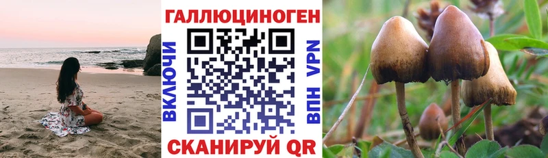 Галлюциногенные грибы Cubensis  Старый Оскол 